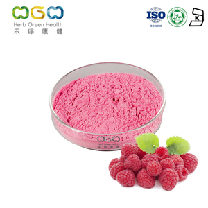 Antibacterial Anti-Oxidation Raspberry SD Fruit Powder