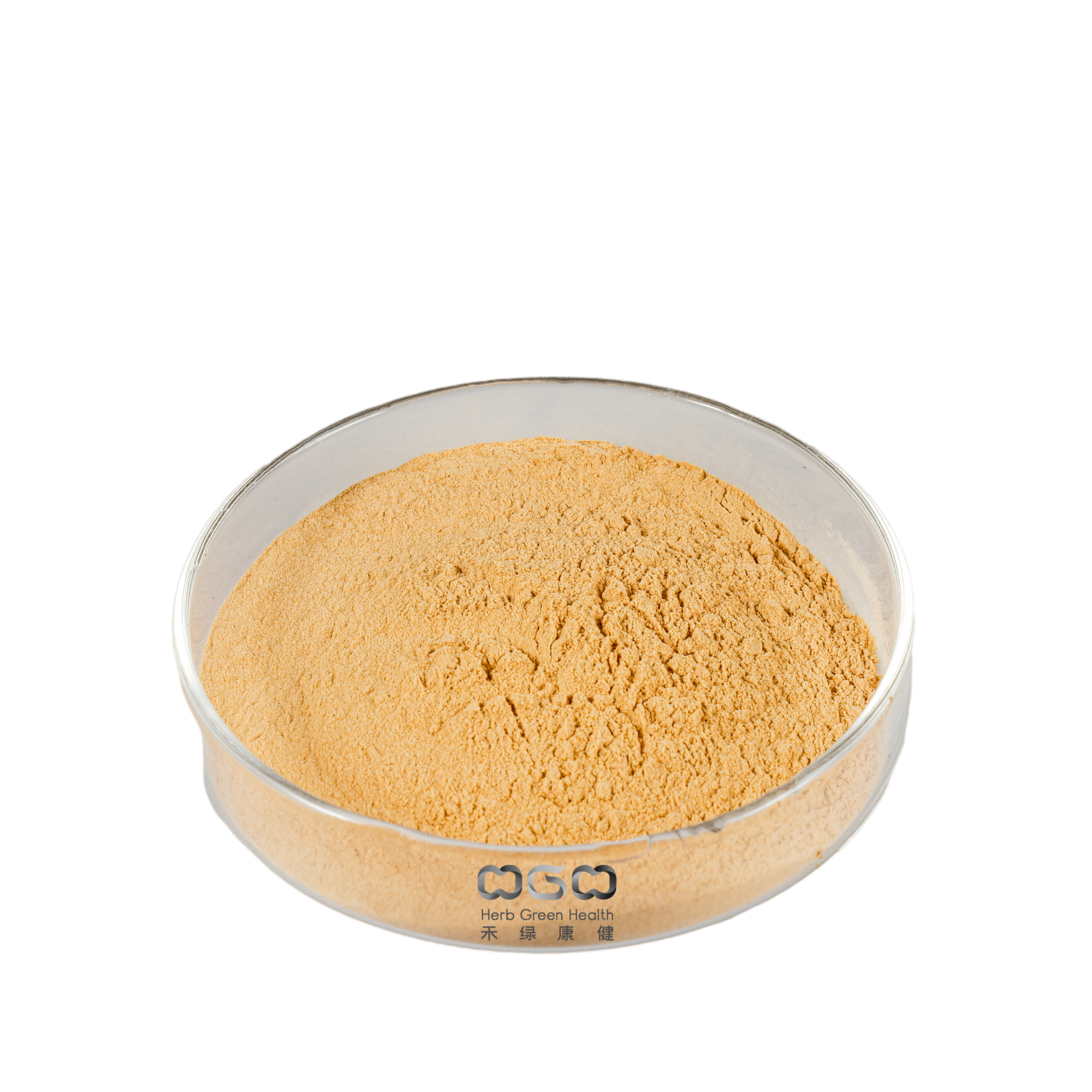 Factory Price Anti-inflammatory Andrographis Extract Powder
