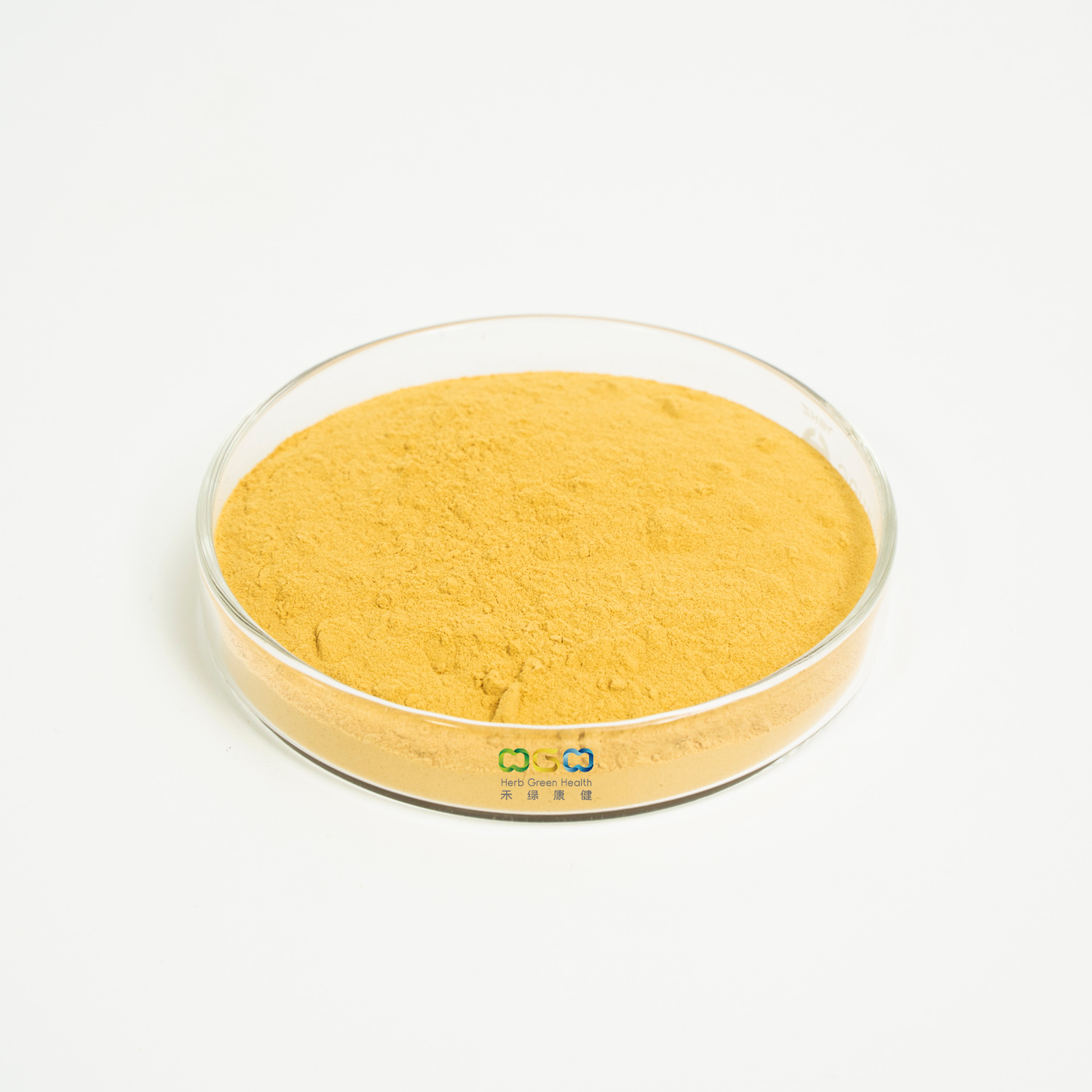 Panax Ginseng Root Extract Ginsenoside Powder 
