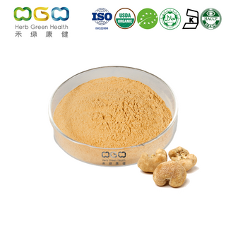 Best Pure Organic Lion's Mane Mushroom Extract Powder