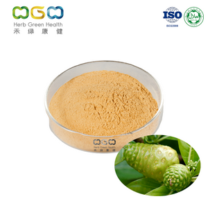 Natural Noni Fruit SD Powder Supplier