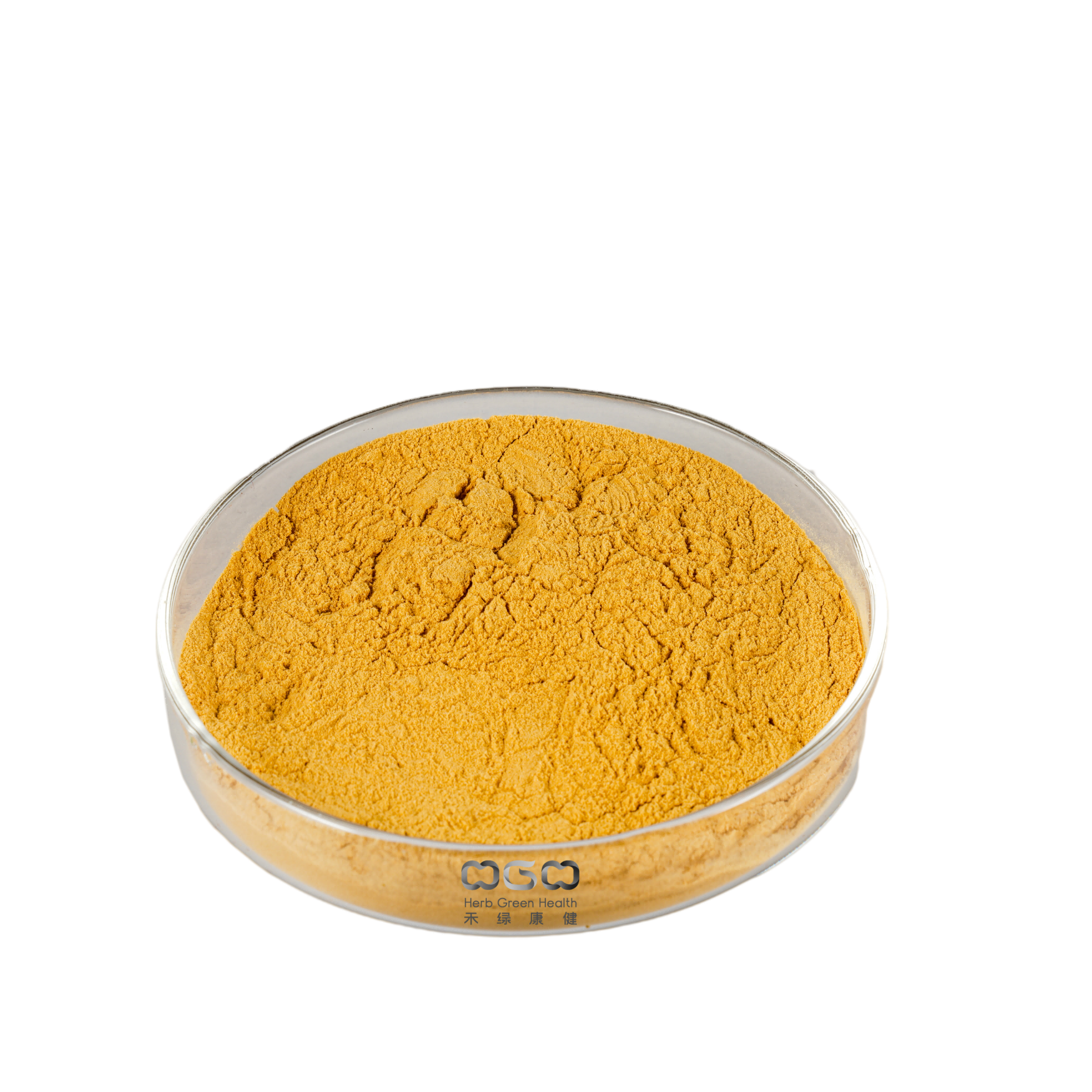 Anti-Aging Tongkat Ali Root Extract Powder