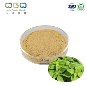 Natural Dried Nettle Leaf Powder For Lowering Blood Pressure