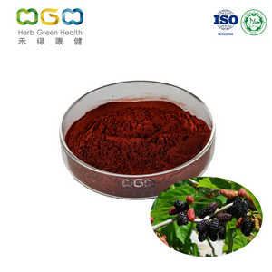 Natural Nutritional Mulberry SD Powder For Beverage