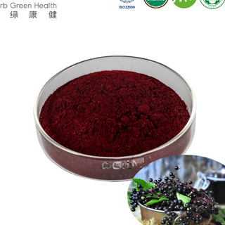 Organic Sambucus Elderberry Fruit Extract Supplement
