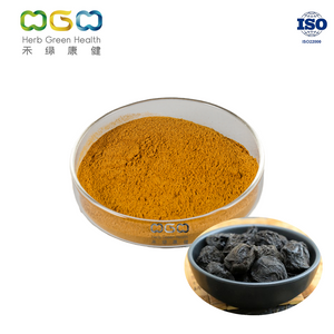 Natural Black Plum Fruit Extract Powder