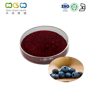 European Bilberry Fruit Extract Anthocyanin Powder