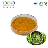 Wholesale Best Instant Hojicha Tea Powder Tea polyphenol 