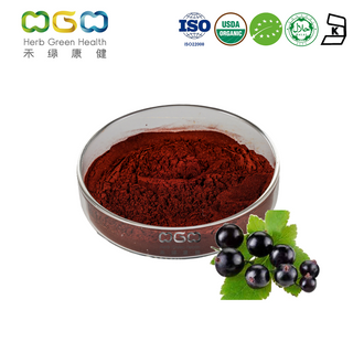 Organic Black Currant Extract Food Additive Anthocyanin For Anti-aging