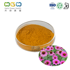 Wholesale Dry Echinacea Herb Extract Polyphenol Powder For Anti Flu