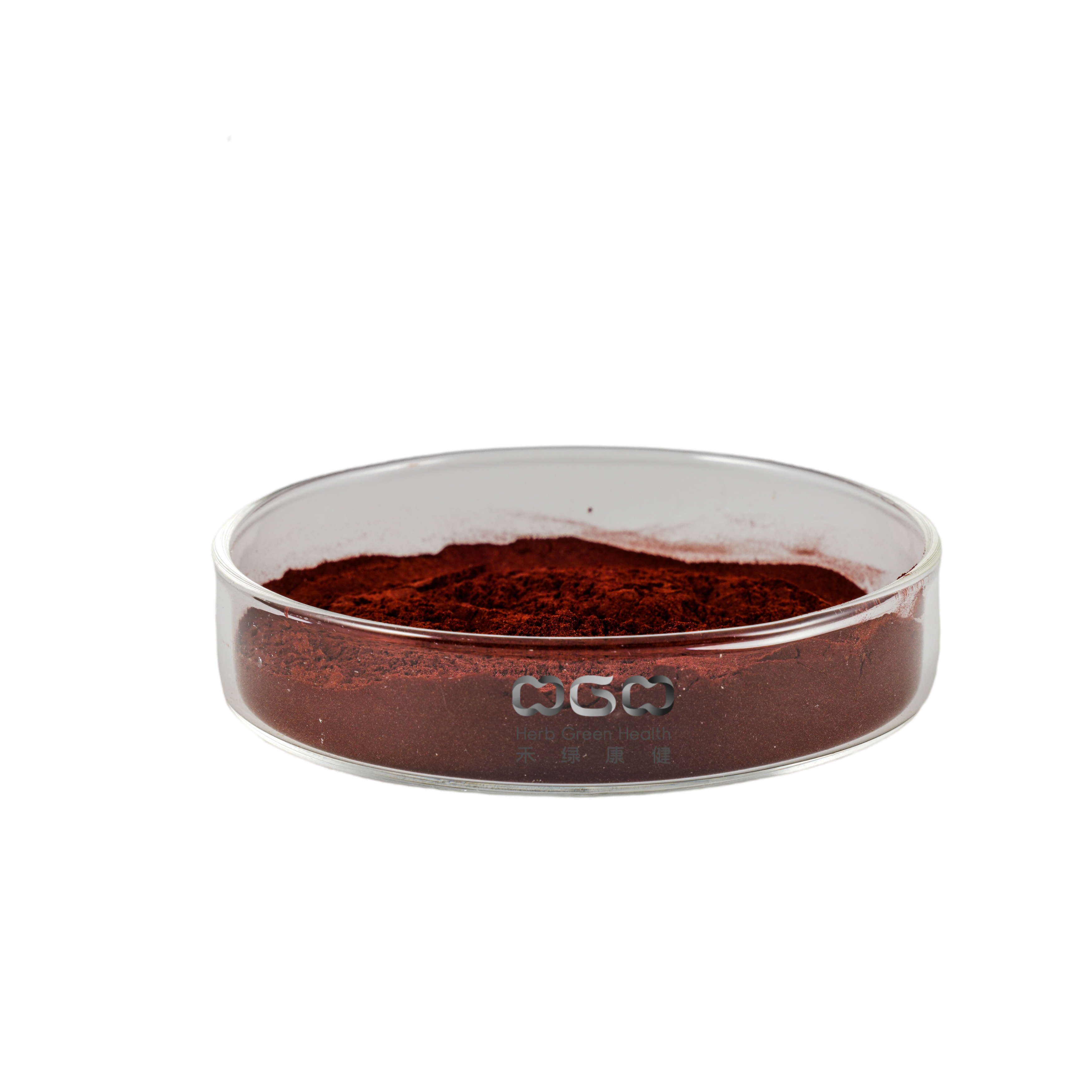 Black Currant SD Powder Anti-aging Anthocyanin For Lower Blood Pressure