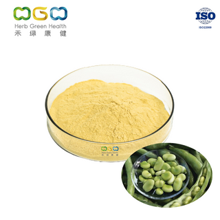Dried Fava Broad Bean Protein Powder Nutrition 